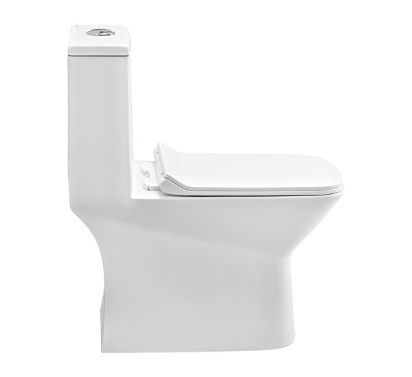 S1013207 2