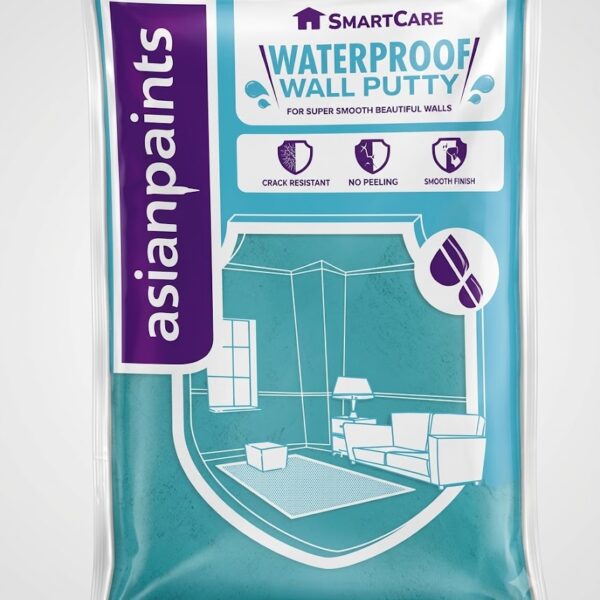Asian Paints Waterproofing Putty